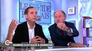 Ménard et Mamère sur Zemmour  C à vous  25112014 [upl. by Amary530]