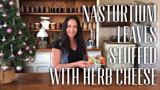 NASTURTIUM LEAF RECIPE  Herb Cheese Stuffed Nasturtium Leaves NASTURTIUMS [upl. by Martie]