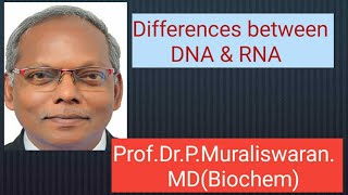 Differences between DNA and RNAMuralis Simplified Biochemistry [upl. by Keyser]