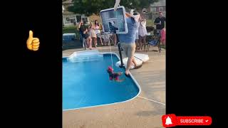 Top Piñata Fails 🪅 [upl. by Bena]