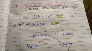 Catabolism of heme OR Heme degradation Pathway [upl. by Wendin191]