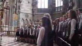 The Summit Childrens Touring Choir  STEPHANSDOM VIENNA [upl. by Zadoc]