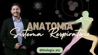 RESUMÃO ANATOMIA DO SISTEMA RESPIRATÓRIO VIDEO AULA biologiaetc [upl. by Sidonius]