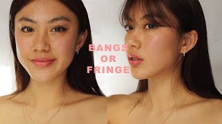 HOW I CUT FRINGE  BANGS  Haley Kim [upl. by Dania980]