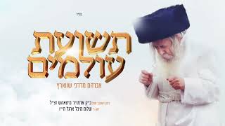 Teshias Oilumim Tosh  Avrum Mordche Schwartz  תשועת עולמים טאהש אברהם מרדכי שווארץ [upl. by Aldon785]