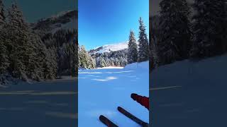 Gliding Through Snowy Trees  Bluebird Ski Day in the Austrian Alps 🌞❄️ shorts [upl. by Melissa]