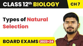 Class 12 Biology Chapter 7  Types of Natural Selection  Evolution 202223 [upl. by Cad]