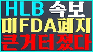 HLB 주가 전망 미 FDA 폐지 큰거 터졌다 에이치엘비 [upl. by Eisiam]