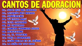 PODEROSAS CANCIONES CRISTIANAS PARA LIBERAR TU MENTE Y EL CORAZÓN 🕊️🕊️ SUPE QUE ME AMABAS 🙏🙏 [upl. by Jobe]