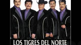 Me Dicen PerseveranteLos Tigres del Norte Album Directo al CorazonAño 2005 [upl. by Braswell]