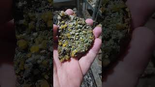 Wulfenite my beloved geology cool minerals rocks science mexico [upl. by Kalil244]