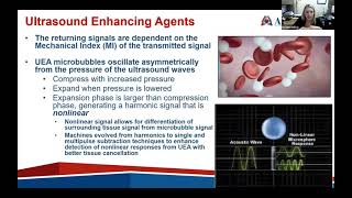 Joint Echo Conference Contrast Echo [upl. by Ahsino]