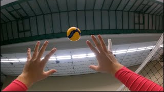 Heute mal ganz in pink  Setter  POV [upl. by Anatollo]