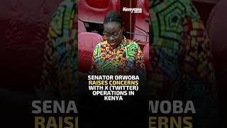 Senator Orwoba raises concerns with Twitter in Kenya Calls for regulation of social media platforms [upl. by Yelrahs]