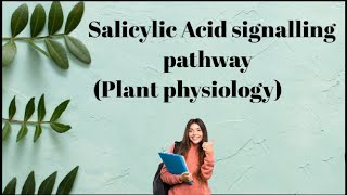 Salicylic acid signalling pathway  Plant Physiology [upl. by Tamanaha]