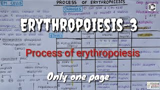 Erythropoiesis3Process Stem cells changes amp Stages [upl. by Almena281]