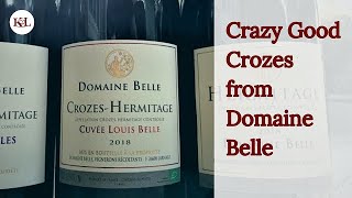 95point CrozesHermitage from Domaine Belle for 2999 [upl. by Acirretal]