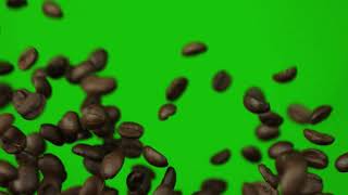 Coffee bean Animation Green Screen l HD [upl. by Ahsitam]