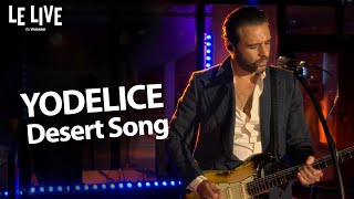 Yodelice  Desert Song live 2024 [upl. by Cristiona]