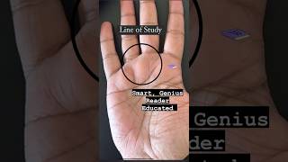 Palmistry  The line of study and smartness reels best videos instagood [upl. by Engen]