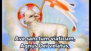 Ave Sanctum Viaticum  Traditional Catholic Latin Hymn [upl. by Adnilreh]