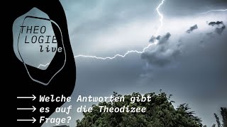 Welche Antworten gibt es auf die TheodizeeFrage  Theologie live [upl. by Xonel]