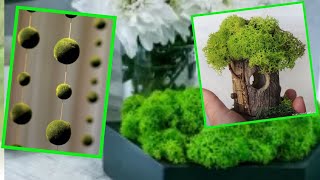 DIY Moss Projects Preserved Moss AMAZING DIY MOSS ART [upl. by Oicapot]