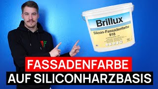 Die BESTE FASSADENFARBE auf SILICONHARZBASIS  Silicon Fassadenfarbe 918  Protect [upl. by Esimorp429]