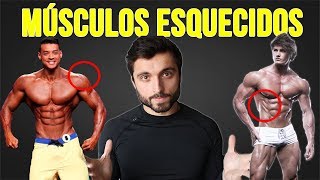 5 Músculos Esquecidos que Tornam um SHAPE INSANO [upl. by Ahsla]