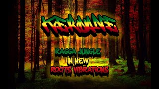 Ragga Jungle Drum amp Bass Mix  Ragga Jungle New Roots Vibrations Drum amp Bass Mix 2023 [upl. by Dorsey]