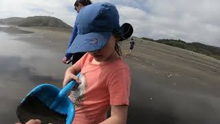 Exploring the stunning beauty of Bethells Beach part 12 🌊✨ BethellsBeach NZAdventures BeachVibes [upl. by Sirapal70]