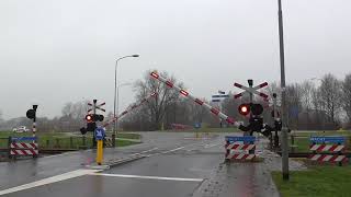 Spoorwegovergang Uithuizen Level Crossing Passage a Niveau Railroad Bahnübergang [upl. by Nnek]