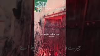 💔💔😭 yazahraص yaali ayyamefatmiyah syedjaffri shiastatus foryou trending viralvideo [upl. by Anrehs981]