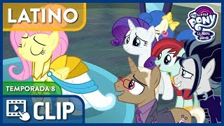 ▷Clip  Fluttershy La Guerrera de la Fuerza Interior T8x04  MLP T8 Esp Latino HD [upl. by Aralomo]