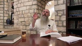 Afternoon Chassidus with Rabbi Shalom Pasternak [upl. by Paymar916]