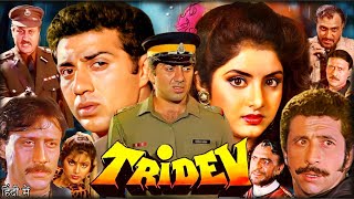 Tridev Full Movie  Sunny Deol  Madhuri Dixit  Jackie Shroff  Naseeruddin  Facts amp Review [upl. by Thgirw]