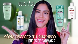 🚀 Mejores SHAMPOOS para CABELLO GRASO y CASPA con PUNTAS SECAS Dermatitis Seborréica [upl. by Henrion]