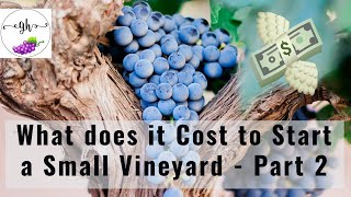 Backyard Vineyard  What Does it Cost to Start a Small Backyard Vineyard PART 2 [upl. by Larimore430]