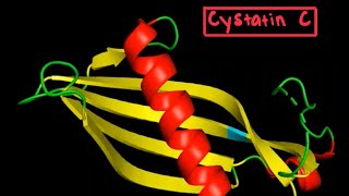 Cystatin C Structure [upl. by Celestine959]