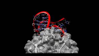 Human thrombin and one of its complexed aptamers [upl. by Cindie922]