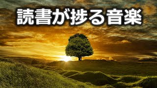 読書が捗る音楽│時間を忘れて没頭するBGM│50min [upl. by Akemaj46]