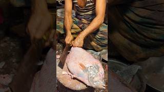 Fast Tripletail Fish Cutting Skills In Bangladesh Fish Market By Expert Cutter shorts [upl. by Erinna]