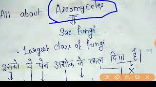 Sac Fungi  Ascomycetes  Examples amp Characters  TrickMnemonic  NEETAIIMSJIPMER amp ICAR [upl. by Epotimet]