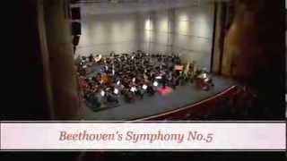 Beethovens 5th with The Phoenix Symphony [upl. by Anilatsyrc]