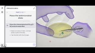 Pearson Interactive Labs  Antimicrobial Susceptibility Testing [upl. by Misab]