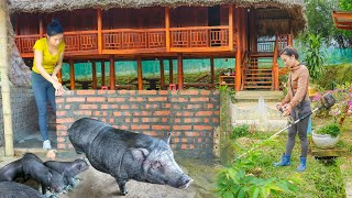 Building New Pig Barn For The Newly Born Piglets  Daily Life In The Village My Farm  Đào [upl. by Okimat]