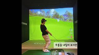 컨시드 버디🦋 골프 golf golfzon 골프존nx golfswing [upl. by Gemoets533]