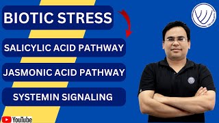 SALICYLIC ACID PATHWAY  JASMONIC ACID PATHWAY  SYSTEMIN SIGNALING  CSIR NET LIFE SCIENCE  GATE [upl. by Assilim]