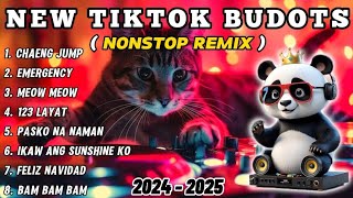 New VIRAL TIKTOK DISCO PARTY 2024  New TIKTOK MASHUP 2024 PHILIPPINES Mix [upl. by Arie]