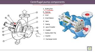 Hydraulic Machines  58  Centrifugal Pump Calculation of the Manometric Head [upl. by Yatnoj]